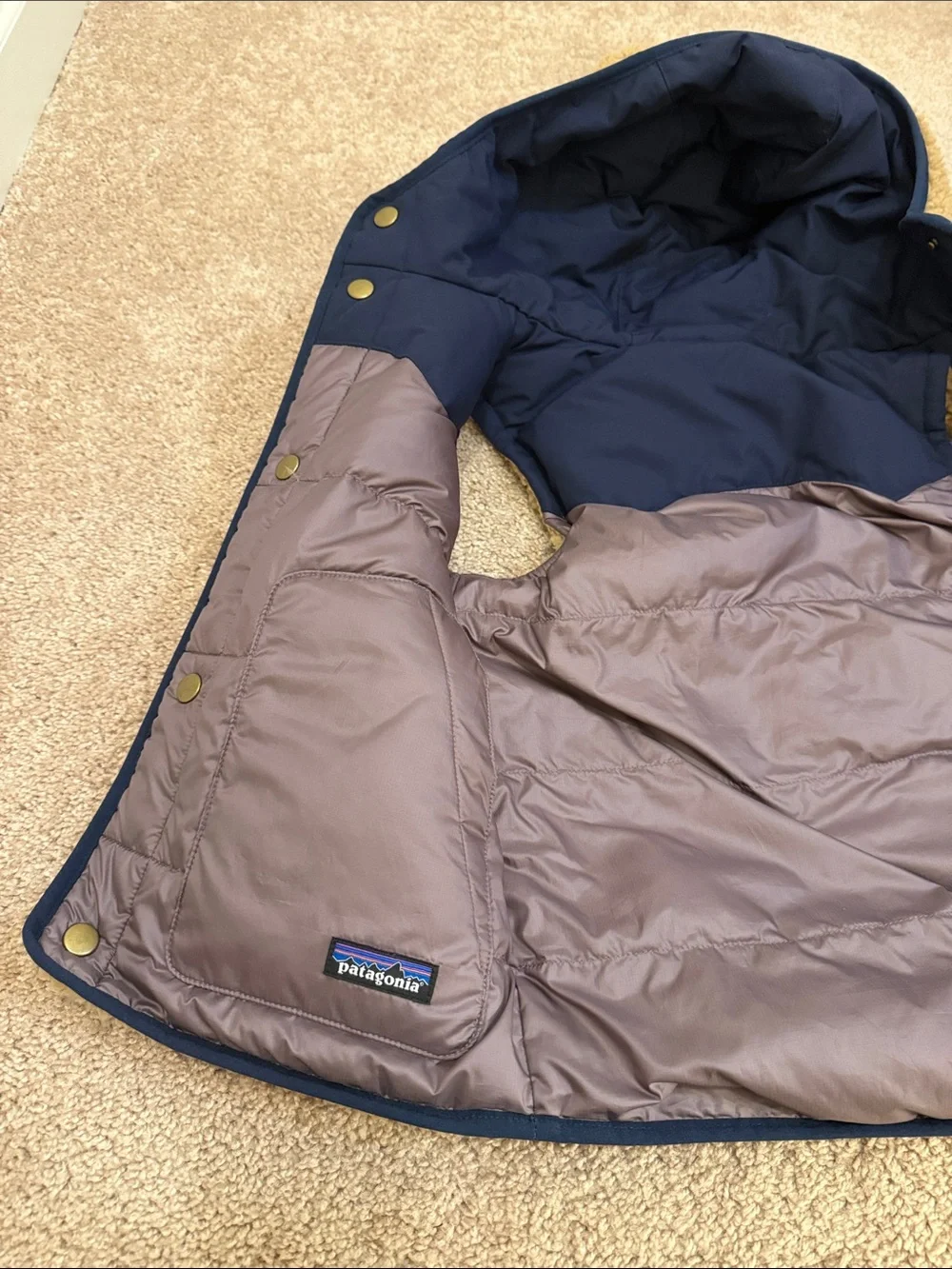 Patagonia Vest